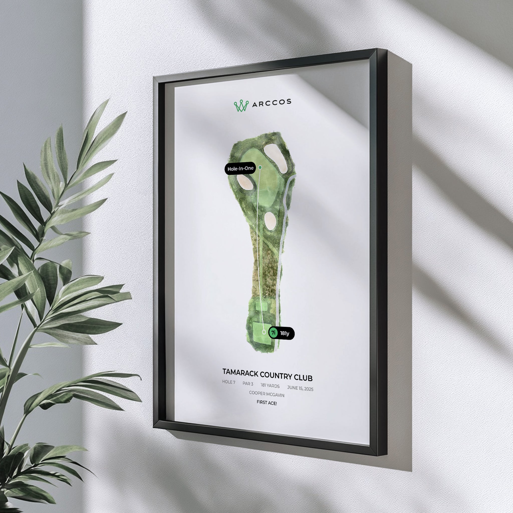 Arccos Framed Hole in One Poster