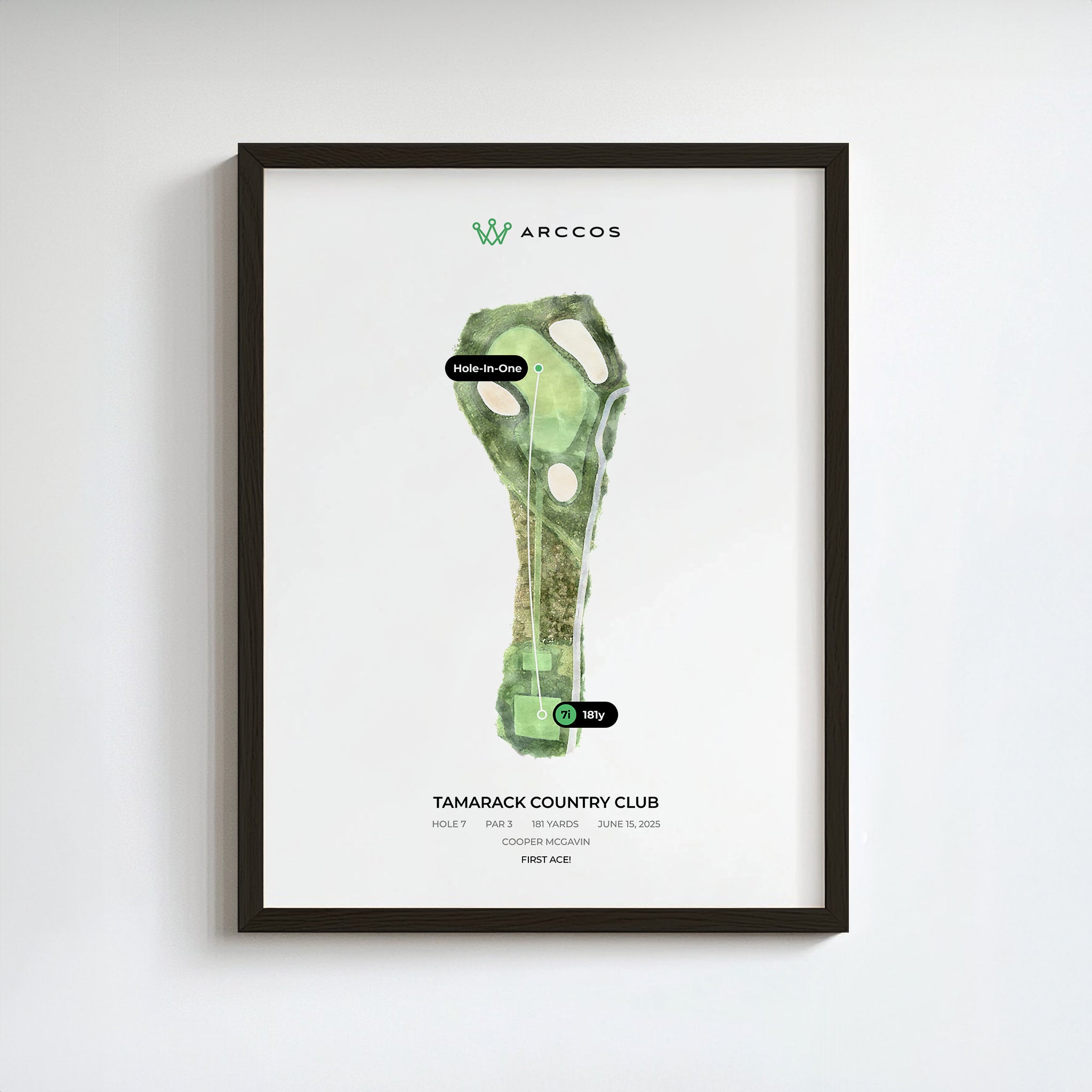 Arccos Hole in One Poster 