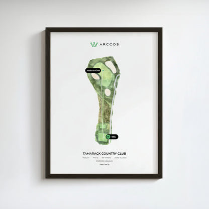 Arccos Hole in One Poster 