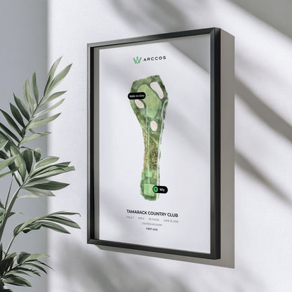 Arccos Framed Hole in One Poster